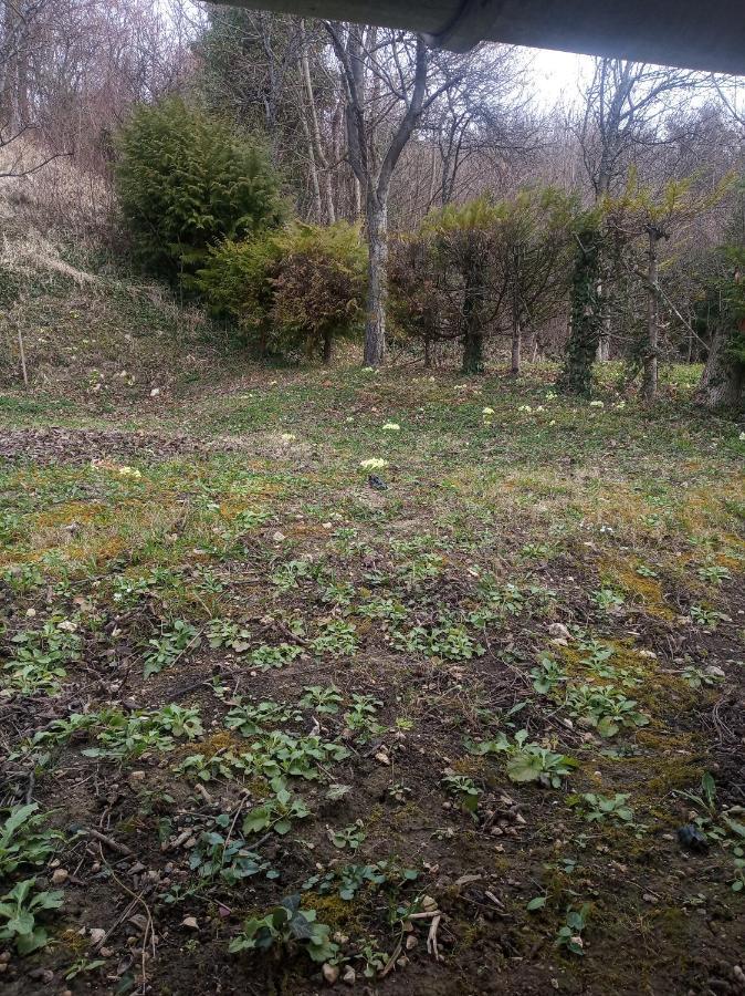 Holiday Home Nature Plesivica Jastrebarsko Eksteriør bilde