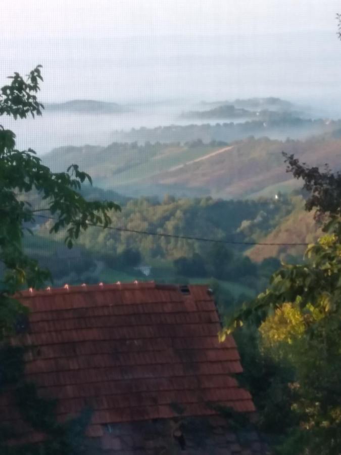 Holiday Home Nature Plesivica Jastrebarsko Eksteriør bilde